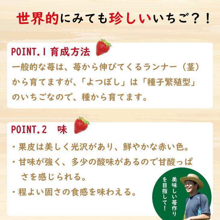 【ふるさと納税】【選べる内容量】 いちご「よつぼし」『230g×2パック（460g）、230g×4パック（920g）』 農家直送品 しもむら農園 果物 くだもの フルーツ 人気 ランキング 高評価 苺 イチゴ