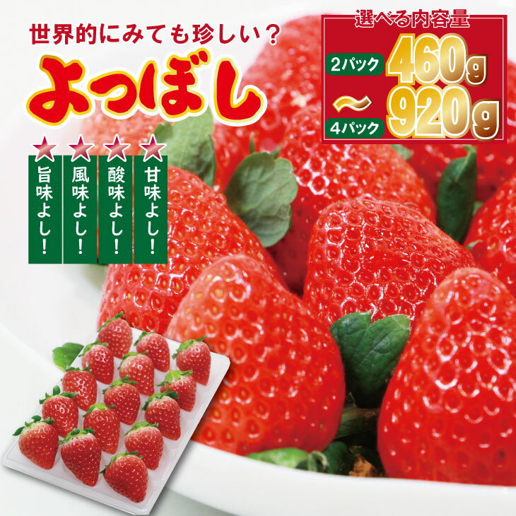 【ふるさと納税】【選べる内容量】 いちご「よつぼし」『230g×2パック（460g）、230g×4パック（920g）』 農家直送品 しもむら農園 果物 くだもの フルーツ 人気 ランキング 高評価 苺 イチゴ