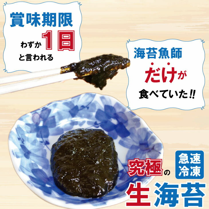 【ふるさと納税】【選べる内容量】氷結 有明海産「おさしみ生海苔」（20g）×（4～8袋）乃市商店 のり 希少 佐賀 漁師めし送料無料 【A080-018】