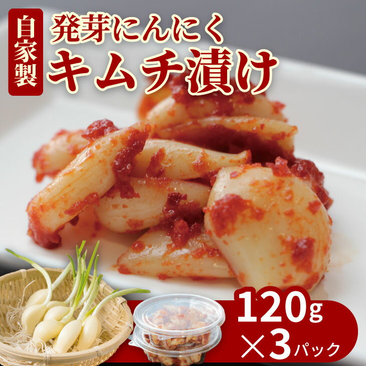 【ふるさと納税】 発芽 ニンニク の ピり辛 キムチ漬け（3パック）にんにく 臭い少なめ キムチ 手作り 手作業 福祉事業所 【A070-038】