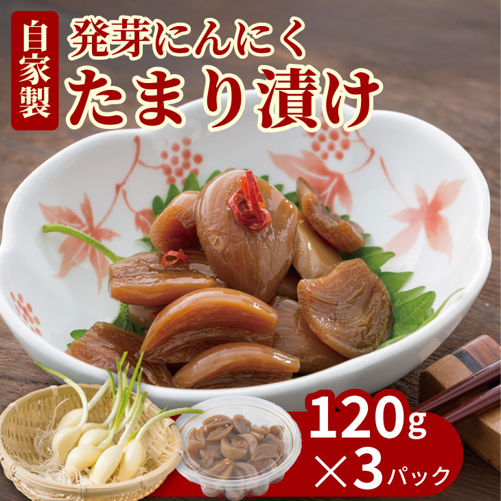 発芽 ニンニク たまり漬け(3パック) 臭い少なめ 健康志向 にんにく [A070-037]