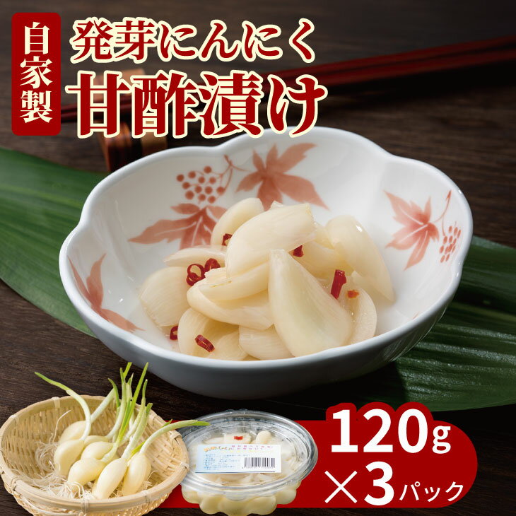 発芽 ニンニク 甘酢漬け セット(3パック)にんにく 臭い少なめ[A070-036]