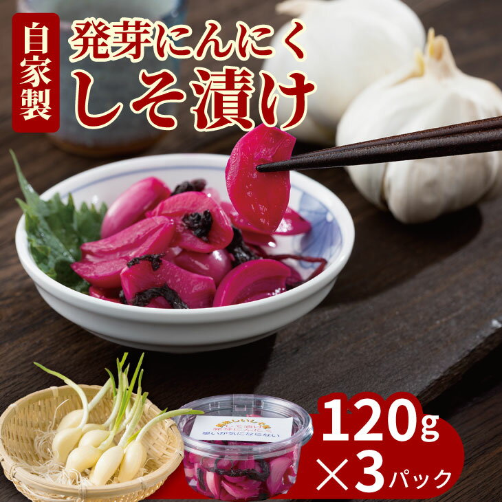 発芽 ニンニク しそ漬けセット(3パック) [A070-035]
