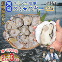 【ふるさと納税】【天然】有明海産住之江牡蠣 殻付き 冷凍スミ☆スター 2キロ~3キロ 選べる 牡蠣 冷凍 スミノエ牡蠣 カキ かき 冷凍 貝 貝類 天然 送料無料 海鮮 海産 海産物 【B110-030】