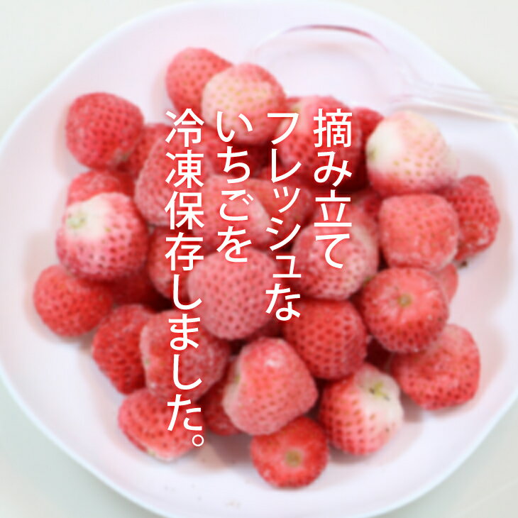 【ふるさと納税】冷凍いちごお楽しみセット2kg スムージー ジャム 朝採れ