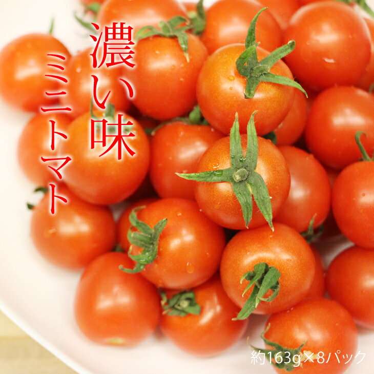 【ふるさと納税】真子のミニトマト（1,3kg）味の濃い ビタミン豊富 完熟 プチトマト 特別栽培 新鮮　採れたて 佐賀県産 送料無料