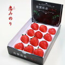 【ふるさと納税】 佐賀県産いちご 恋みのり 300gx2パッ