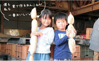 佐賀県産泥付きレンコン(3kg)