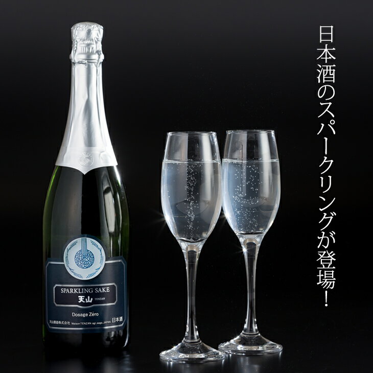 【ふるさと納税】天山酒造 天山スパークリングSAKE （750ml） 日本酒 天山酒造 七田ブランド