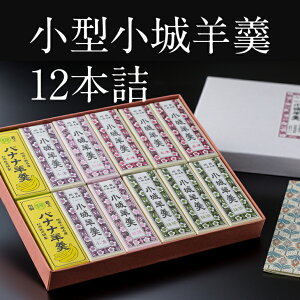 【ふるさと納税】小型小城羊羹12本詰 贈答用 ギフト 送料無料 ようかん