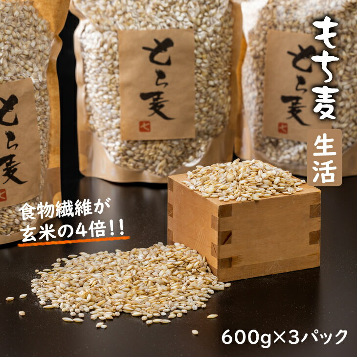 【ふるさと納税】 もち麦 600g 3パック 生産農家直送便 送料無料 くすもち二条 健康 米 【B120-024】