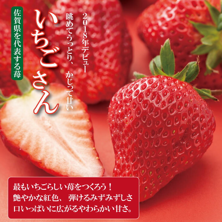 【ふるさと納税】 佐賀ブランド苺「いちごさん」合計500g（250g×2セット）凛々 農家 直送品 果物 くだもの フルーツ 人気 ランキング 高評価 苺 イチゴ