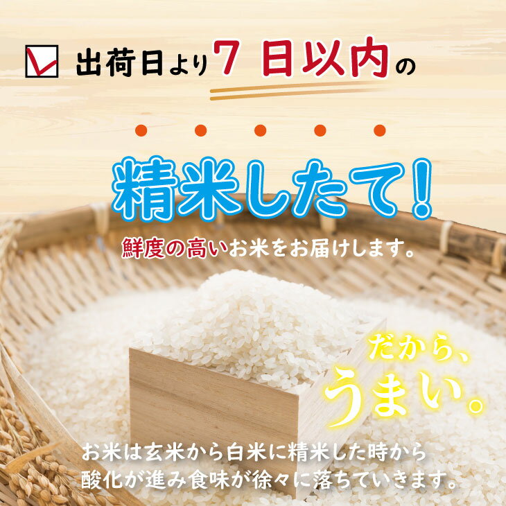 レビューで高評価の北川農産のさがびより！大粒のしっかりしたお米が立ちます！　【ふるさと納税】令和7年度産 佐賀県認定！ 特別栽培米「 さがびより 」北川農産 （3kg・5kg・10kg）選べる レビュー高評価！一等米 精米 白米 ブランド米 お米 白飯 人気 ランキング 高評価 【B110-041】
