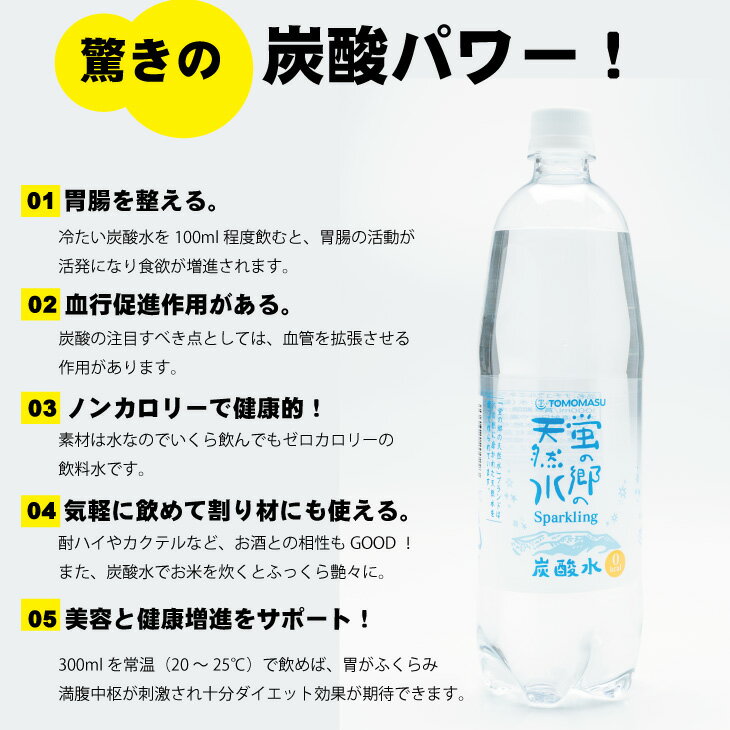 【ふるさと納税】友桝飲料 蛍の郷の天然水 スパークリング （炭酸水）1L（1000ml）×15本（1ケース）送料無料 健康と美容 ハイボール ソーダ 割り材 天然水 水・ミネラルウォーター 炭酸飲料 ペットボトル 送料無料 人気 ランキング 高評価 【A070-025】