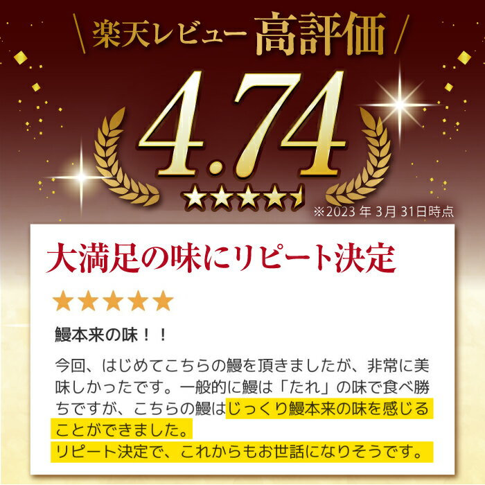 【ふるさと納税】本格炭火焼 うなぎ蒲焼(タレ付き) 鰻 ウナギ 国産 九州産 炭火焼 手焼き 佐賀県嬉野市/森うなぎ屋 [NAK004]