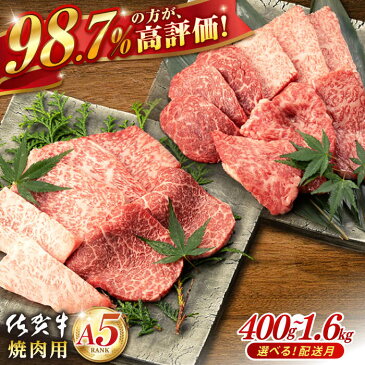 【ふるさと納税】佐賀牛 A5 厳選部位 ロース モモ ウデ バラ 400g 焼肉用 桑原畜産 NAB025 ( 黒毛 和牛 高級 国産 プレゼント 贈物 お祝い )