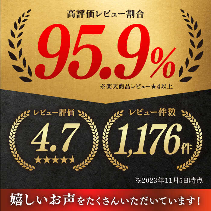 【ふるさと納税】【12回定期便】 佐賀牛 赤身・バラ切り落とし 計9.6kg or 計19.2kg 佐賀県嬉野市/桑原畜産 [NAB052]