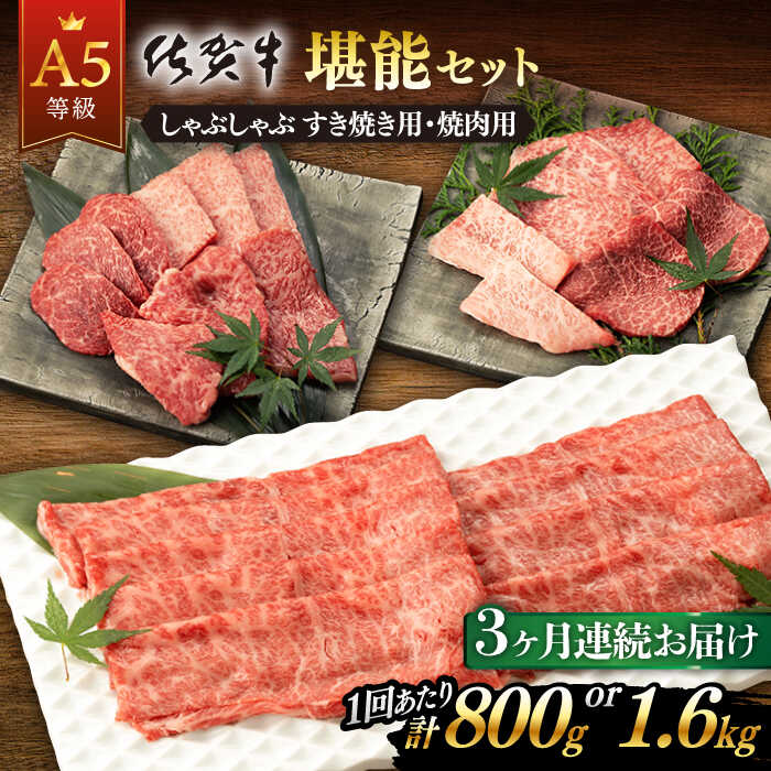 【3回定期便】佐賀牛 A5 堪能セット しゃぶしゃぶ すき焼き用 ・ 焼肉用 (計800g or 計1.6kg) 佐賀県嬉野市/桑原畜産 [NAB095]