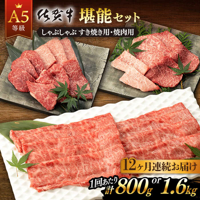 【12回定期便】佐賀牛 A5 堪能セット しゃぶしゃぶ すき焼き用 ・ 焼肉用 (計9.6kg ~ 計19.2kg) 佐賀県嬉野市/桑原畜産 [NAB097]