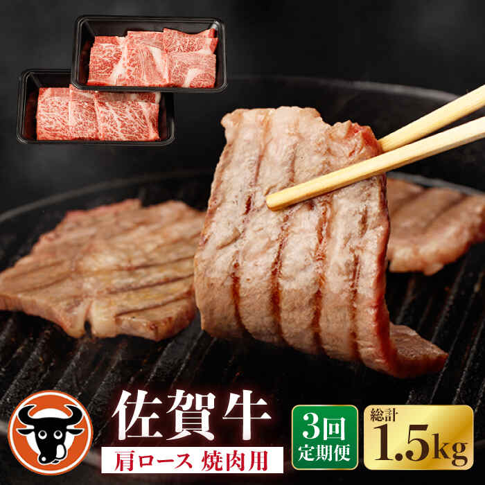 [3回定期便]佐賀牛 肩ロース 焼肉用 計500g(250g×2p) 佐賀県産 黒毛和牛 牛肉 牛 佐賀県嬉野市/一ノ瀬畜産 