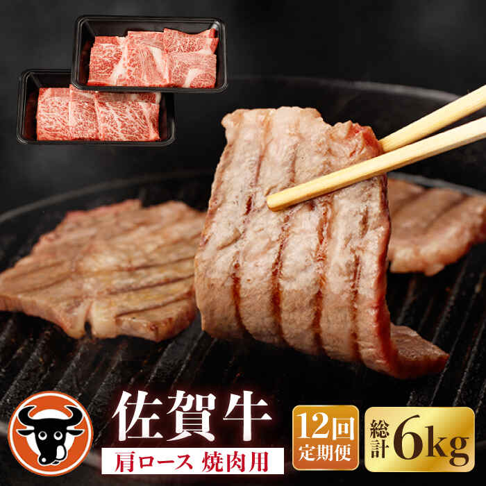 【12回定期便】佐賀牛 肩ロース 焼肉用 計500g（250g×2p） 佐賀県産 黒毛和牛 牛肉 牛 佐賀県嬉野市/一ノ瀬畜産 [NAC154]