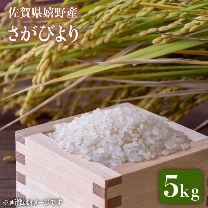 27位! 口コミ数「1件」評価「5」 令和5年産 さがびより 5kg 佐賀県産 佐賀県産 嬉野産 米 コメ こめ 佐賀県嬉野市/吉田まんぞく館 [NAG005]