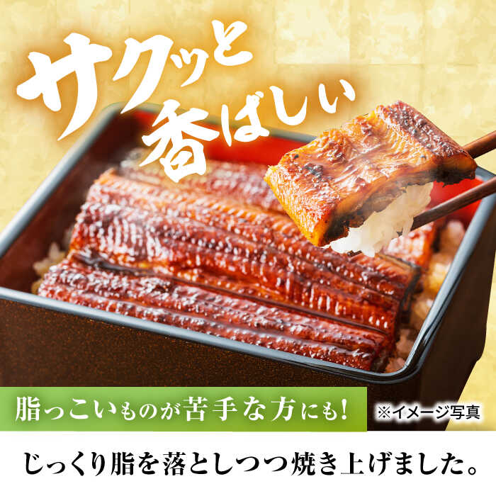 【ふるさと納税】うなぎ蒲焼 1尾 (手焼き炭火...の紹介画像2