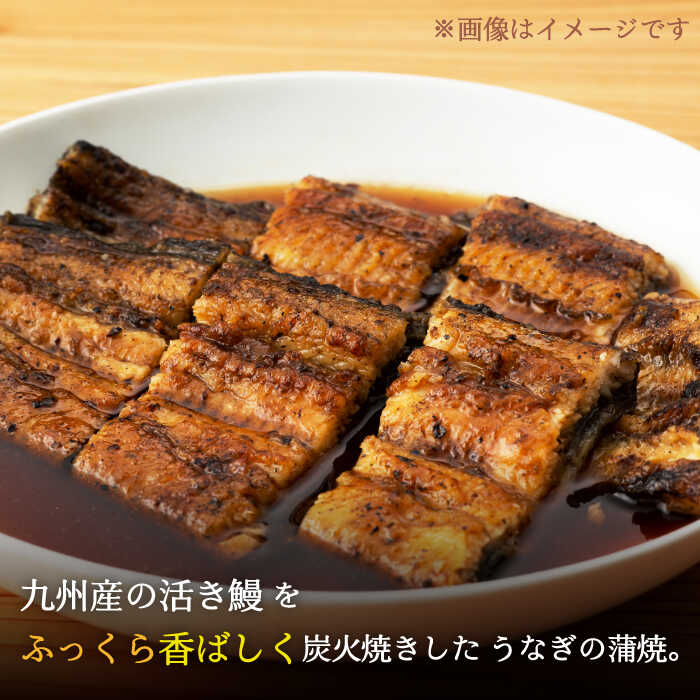 【ふるさと納税】手焼き 炭火焼き うなぎ の 蒲焼 4尾 タレ付きうなぎ 鰻 ウナギ 国産 九州産 佐賀県嬉野市/中野鮮魚店 [NAI002]