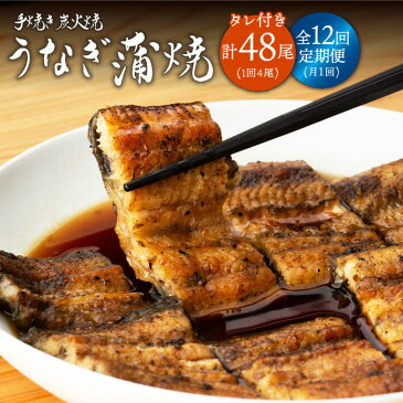 【ふるさと納税】全12回 定期便 うなぎ蒲焼 4尾 (手焼き炭火焼・タレ付き) 中野鮮魚店 NAI006 (国産 九州産 鰻 ウナギ 冷蔵 かば焼き)