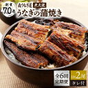 【ふるさと納税】全6回 定期便 うなぎ蒲焼 (2尾入りタレ付き) 鰻 ウナギ 国産 九州産 炭火焼 手焼き 佐賀県嬉野市/森うなぎ屋 [NAK011]