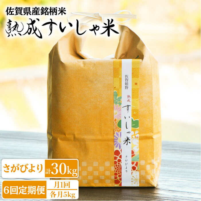 【ふるさと納税】【全6回定期便】 令和5年産 佐賀県産 さがびより5kg 佐賀県産 米 こめ 精米 熟成 佐賀県嬉野市/一粒 [NAO040]