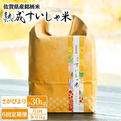 【全6回定期便】 令和5年産 佐賀県産 さがびより5kg 佐賀県産 米 こめ 精米 熟成 佐賀県嬉野市/一粒 [NAO040]