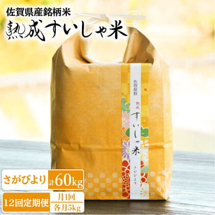 【全12回定期便】 令和5年産 佐賀県産 さがびより5kg 佐賀県産 米 こめ 精米 熟成 佐賀県嬉野市/一粒 [NAO041]