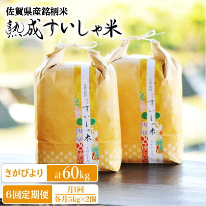 【全6回定期便】 令和5年産 佐賀県産 さがびより10kg 佐賀県産 米 こめ 精米 熟成 佐賀県嬉野市/一粒 [NAO043]