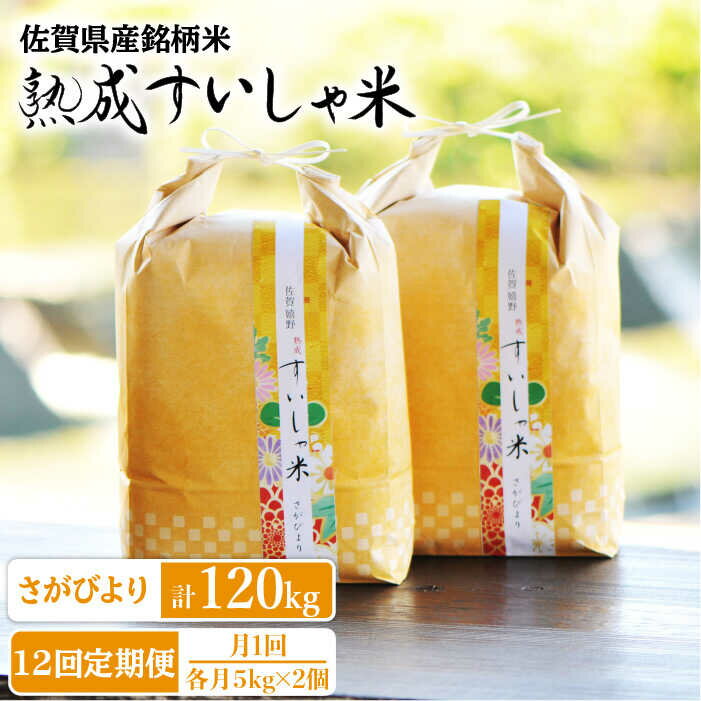 【ふるさと納税】全12回 定期便 佐賀県産 さがびより10kg 一粒＜熟成すいしゃ米＞ NAO044 (国産佐賀県こめ 米 水車)