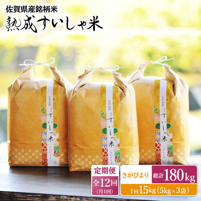 【ふるさと納税】【全12回定期便】 令和5年産 佐賀県産 さがびより15kg 佐賀県産 米 こめ 精米 熟成 佐賀県嬉野市/一粒 [NAO047]