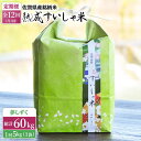 人気ランキング第28位「佐賀県嬉野市」口コミ数「0件」評価「0」【全12回定期便】 令和5年産 佐賀県産 夢しずく 5kg 佐賀県産 米 こめ 精米 熟成 佐賀県嬉野市/一粒 [NAO050]