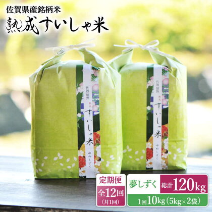 【全12回定期便】 令和5年産 佐賀県産 夢しずく 10kg 佐賀県産 米 こめ 精米 熟成 佐賀県嬉野市/一粒 [NAO053]