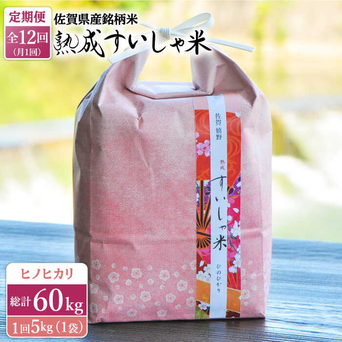 【全12回定期便】 令和5年産 佐賀県産 ヒノヒカリ 5kg 佐賀県産 米 こめ 精米 熟成 佐賀県嬉野市/一粒 [NAO059]