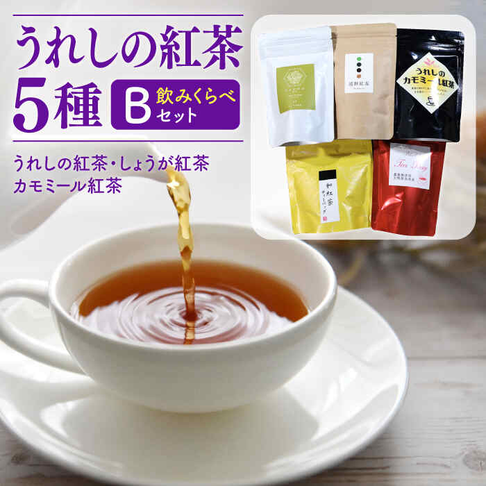 6位! 口コミ数「1件」評価「5」うれしの紅茶 5種 飲み比べセット B 紅茶 和紅茶 茶 嬉野 うれしの 佐賀県嬉野市/うれしの紅茶振興協議会 [NAP006]