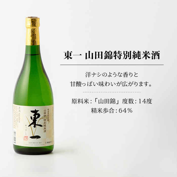 【ふるさと納税】東一 山田錦 特別純米酒・ 純米吟醸酒 720ml 2本 酒 お酒 日本酒 地酒 銘酒 東一 五町田酒造 佐賀県嬉野市/嬉野酒店 [NBQ002]