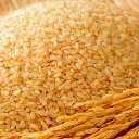【ふるさと納税】令和元年産 さがびより玄米10kg (H01...