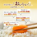佐賀県神埼市の画像3