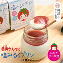 【ふるさと納税】塩ミルクプリン〜いちごソース付〜【プリン ぷりん スイーツ イチゴ 苺 手土産 プレゼント ギフト】(H017115)