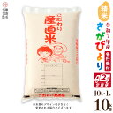 【ふるさと納税】【令和7年産 新米先行受付】さがびより 精米 10kg【2ヶ月定期便】【さがびより 精米 10kg お米 おいしい ランキング 人気 国産 佐賀...