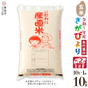【ふるさと納税】【令和7年産 新米先行受付】さがびより 玄米 10kg【2ヶ月定期便】【さがびより 玄米 10kg お米 おいしい ランキング 人気 国産 佐賀...