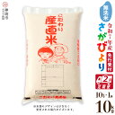 【ふるさと納税】【令和7年産 新米先行受付】さがびより 無洗米 10kg【2ヶ月定期便】【さがびより 無洗米 10kg お米 おいしい ランキング 人気 国産 ...