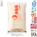 【ふるさと納税】【令和7年産 新米先行受付】さがびより 無洗米 10kg【6ヶ月定期便】【さがびより 無洗米 10kg お米 おいしい ランキング 人気 国産 ...