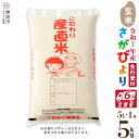 【ふるさと納税】【令和7年産 新米先行受付】さがびより 玄米 5kg【6ヶ月定期便】【さがびより 玄米 5kg お米 おいしい ランキング 人気 国産 佐賀県産...