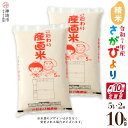 【ふるさと納税】【令和7年産 新米】さがびより 精米 5kg×2【10ヶ月定期便】【さがびより 精米 10kg お米 おいしい ランキング 人気 国産 佐賀県産...